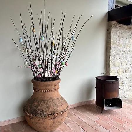 Ca Toni Tatil Evi